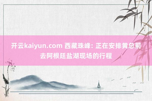 开云kaiyun.com 西藏珠峰: 正在安排黄总前去阿根廷盐湖现场的行程