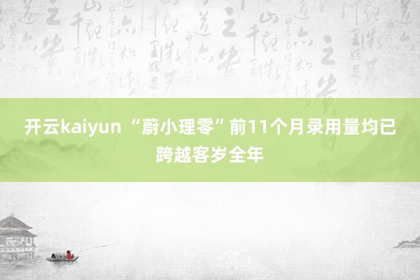 开云kaiyun “蔚小理零”前11个月录用量均已跨越客岁全年