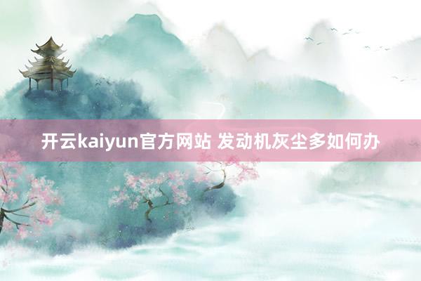 开云kaiyun官方网站 发动机灰尘多如何办