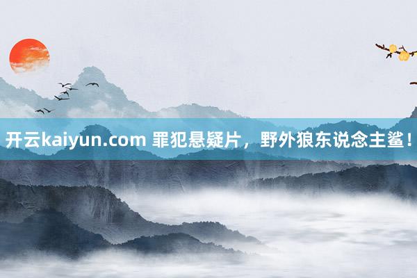 开云kaiyun.com 罪犯悬疑片，野外狼东说念主鲨！