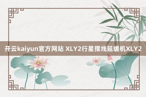 开云kaiyun官方网站 XLY2行星摆线延缓机XLY2