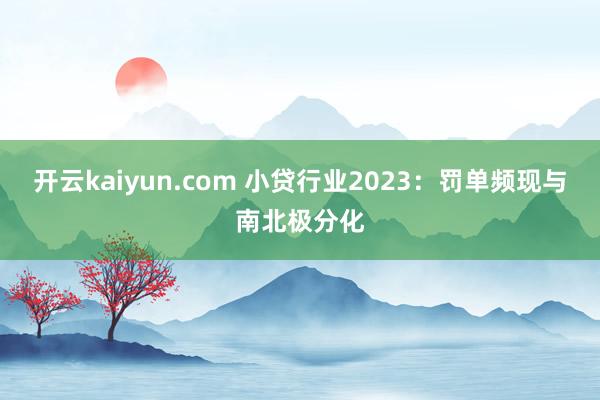 开云kaiyun.com 小贷行业2023：罚单频现与南北极分化