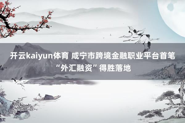 开云kaiyun体育 咸宁市跨境金融职业平台首笔“外汇融资”得胜落地