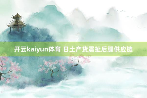 开云kaiyun体育 日土产货震扯后腿供应链