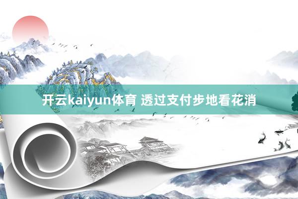 开云kaiyun体育 透过支付步地看花消