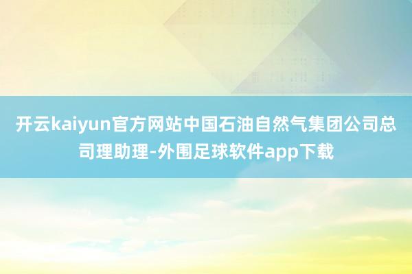 开云kaiyun官方网站中国石油自然气集团公司总司理助理-外围足球软件app下载