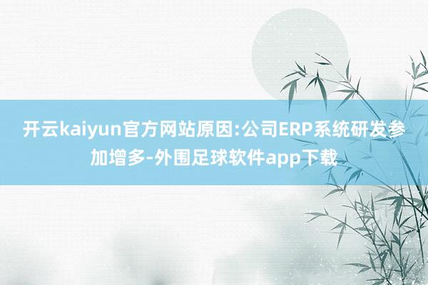 开云kaiyun官方网站原因:公司ERP系统研发参加增多-外围足球软件app下载