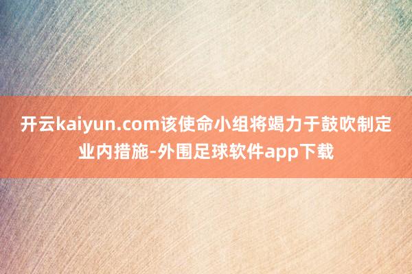 开云kaiyun.com该使命小组将竭力于鼓吹制定业内措施-外围足球软件app下载