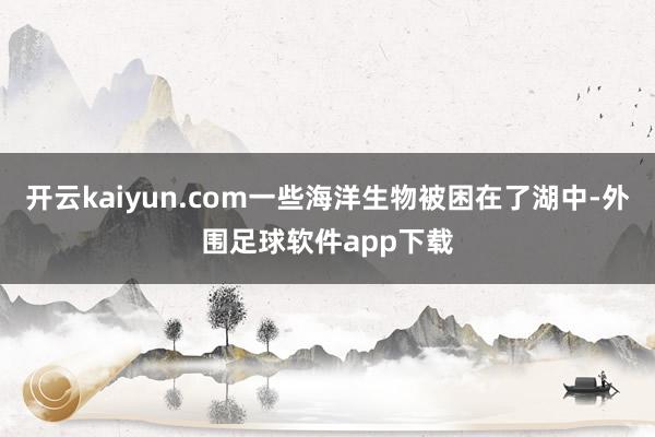 开云kaiyun.com一些海洋生物被困在了湖中-外围足球软件app下载