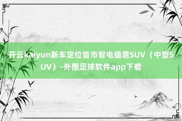 开云kaiyun新车定位皆市智电插混SUV（中型SUV）-外围足球软件app下载