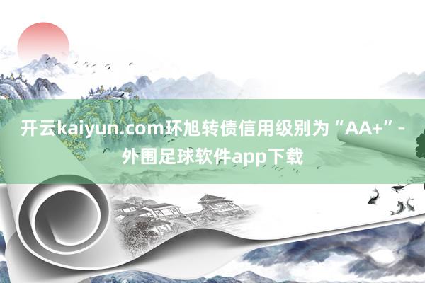 开云kaiyun.com环旭转债信用级别为“AA+”-外围足球软件app下载