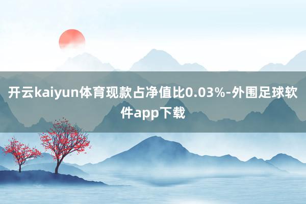 开云kaiyun体育现款占净值比0.03%-外围足球软件app下载