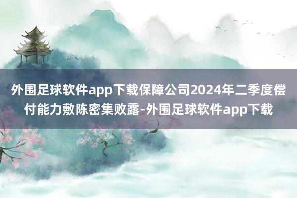 外围足球软件app下载保障公司2024年二季度偿付能力敷陈密集败露-外围足球软件app下载