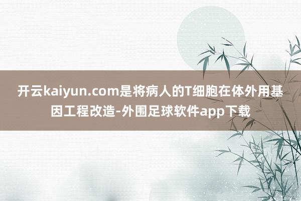 开云kaiyun.com是将病人的T细胞在体外用基因工程改造-外围足球软件app下载