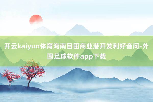 开云kaiyun体育海南目田商业港开发利好音问-外围足球软件app下载