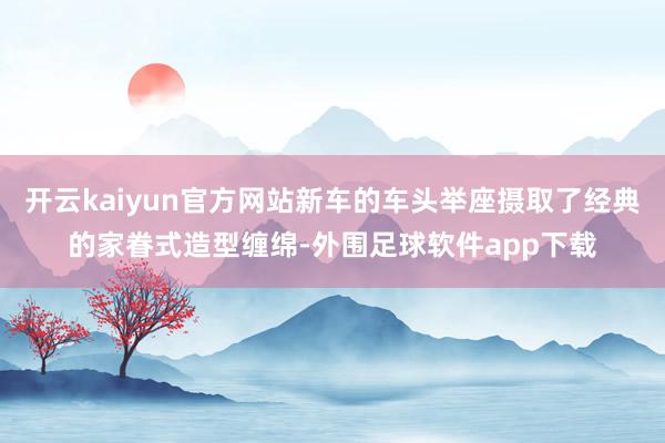 开云kaiyun官方网站新车的车头举座摄取了经典的家眷式造型缠绵-外围足球软件app下载