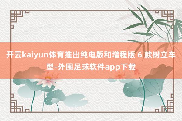 开云kaiyun体育推出纯电版和增程版 6 款树立车型-外围足球软件app下载