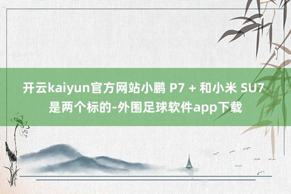 开云kaiyun官方网站小鹏 P7 + 和小米 SU7 是两个标的-外围足球软件app下载