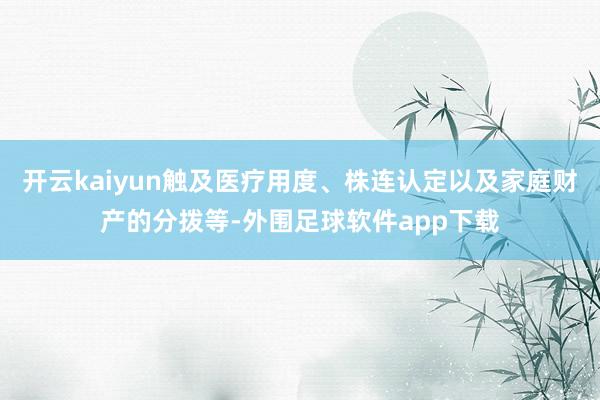 开云kaiyun触及医疗用度、株连认定以及家庭财产的分拨等-外围足球软件app下载