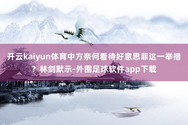 开云kaiyun体育中方奈何看待好意思菲这一举措？林剑默示-外围足球软件app下载