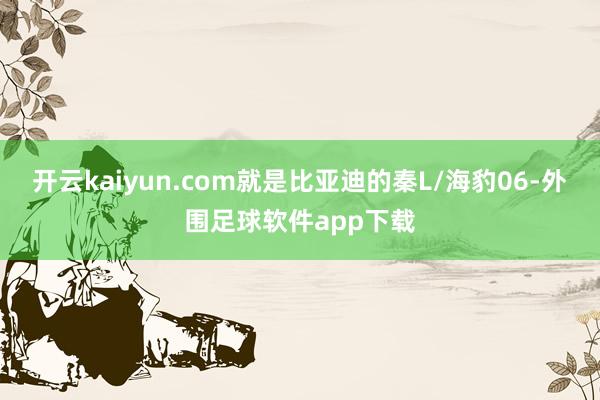 开云kaiyun.com就是比亚迪的秦L/海豹06-外围足球软件app下载