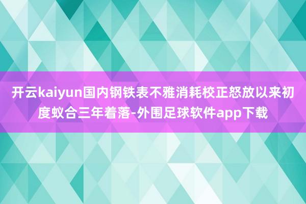 开云kaiyun国内钢铁表不雅消耗校正怒放以来初度蚁合三年着落-外围足球软件app下载