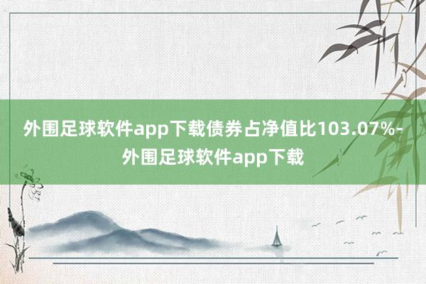 外围足球软件app下载债券占净值比103.07%-外围足球软件app下载