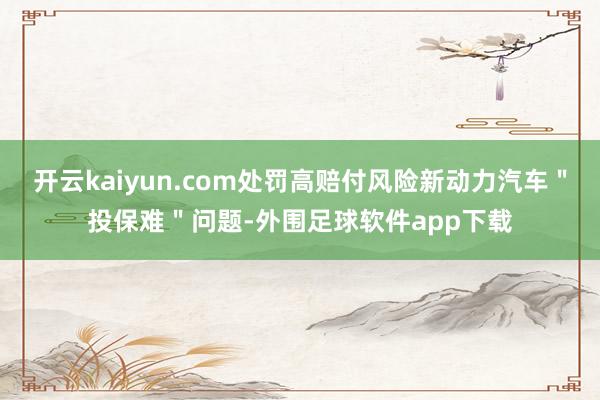 开云kaiyun.com处罚高赔付风险新动力汽车＂投保难＂问题-外围足球软件app下载