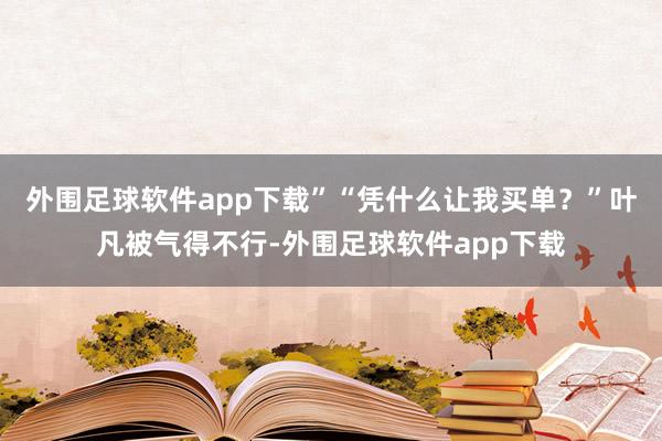 外围足球软件app下载”“凭什么让我买单？”叶凡被气得不行-外围足球软件app下载