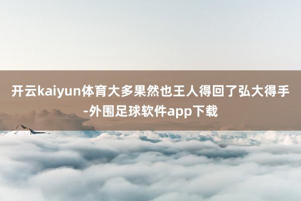 开云kaiyun体育大多果然也王人得回了弘大得手-外围足球软件app下载