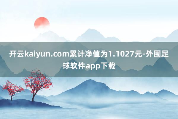 开云kaiyun.com累计净值为1.1027元-外围足球软件app下载