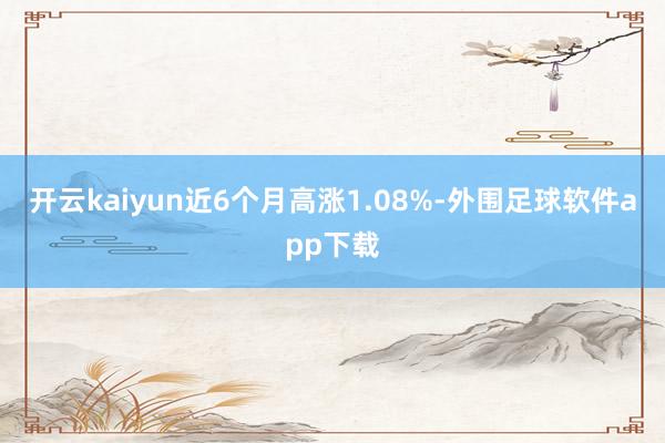 开云kaiyun近6个月高涨1.08%-外围足球软件app下载